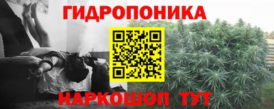 МДПВ Новодвинск