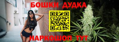 МДПВ Новодвинск