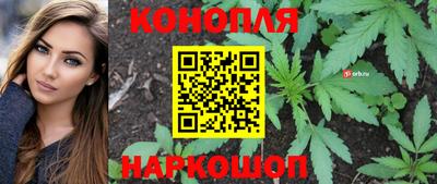 PSILOCYBIN Обнинск