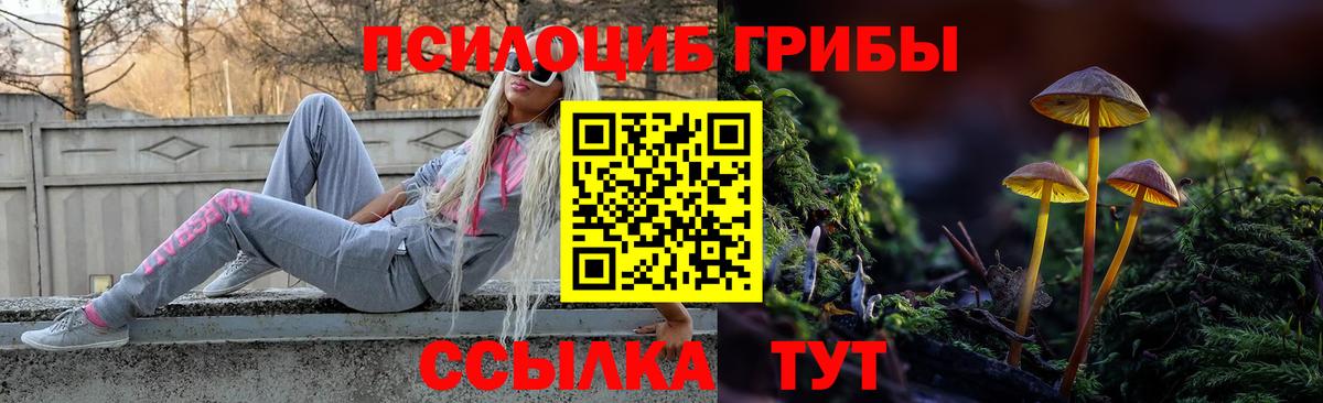 Трёхгорный  Галлюциногенные грибы прущие грибы  хочу наркоту  Вход с VPN 